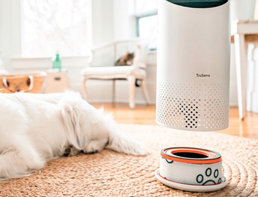 Filtro HEPA mascotas (Pequeño)