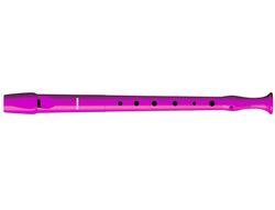 Flauta Hohner 9508 Color Rosa Funda Verde y Transparente