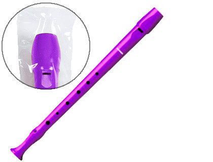 Flauta hohner 9508 color violeta funda verde y transparente