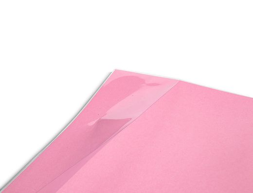 Forralibro Liderpapel Nº29 con Solapa Ajustable Adhesivo 293 X 530 Mm