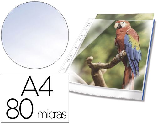 Funda multitaladro durable premium din a4 polipropileno 80 mc cristal con borde color azul bolsa de 10 unidades