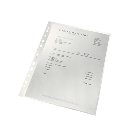 Funda portadocumentos (Bolsa 25). PP "Piel de naranja" con refuerzo. 100 micras. Leitz Recycle. DIN A4. 11 taladros