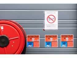 Fundas para información adhesivas removibles (5 unidades)