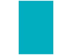 GUARRO CANSON Cartulina 50 Hojas A3 Azul turquesa 185 gr 200040204