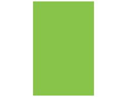 GUARRO CANSON Cartulina 50 Hojas A3 Verde Amazonas 185 gr 200040210