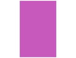 GUARRO CANSON Cartulina Iris 50 Hojas A3 Fucsia 185 g 200040190