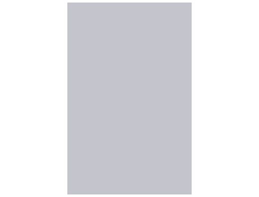 GUARRO CANSON Cartulina IRIS 50 Hojas A3 Gris perla 200040214