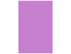 GUARRO CANSON Cartulina IRIS 50 Hojas A3 Lila 185gr 200040196