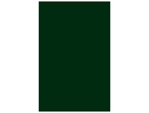 GUARRO CANSON Cartulina IRIS 50 Hojas A3 Verde abeto 185g 200040209