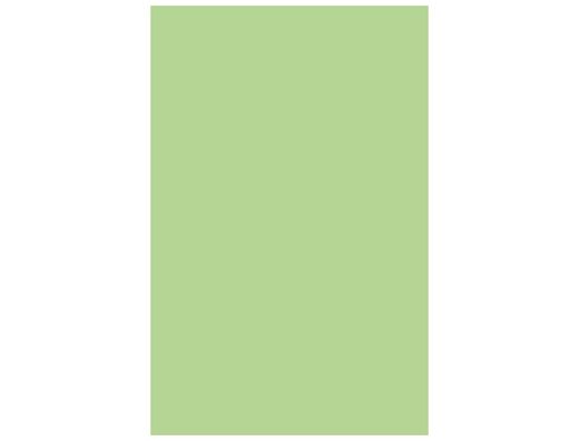 GUARRO CANSON Cartulina Iris 50 Hojas A3 Verde Manzana 185 g 200040206
