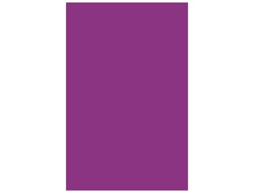 GUARRO CANSON Cartulina IRIS 50 Hojas A3 Violeta 200040197