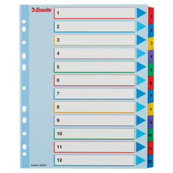 Índice de proyectos multitaladro. DIN A4. Borra y Re-Escribe. Pestañas 1-12, multicolor