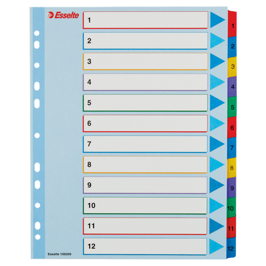 Índice de proyectos multitaladro. DIN A4. Borra y Re-Escribe. Pestañas 1-12, multicolor
