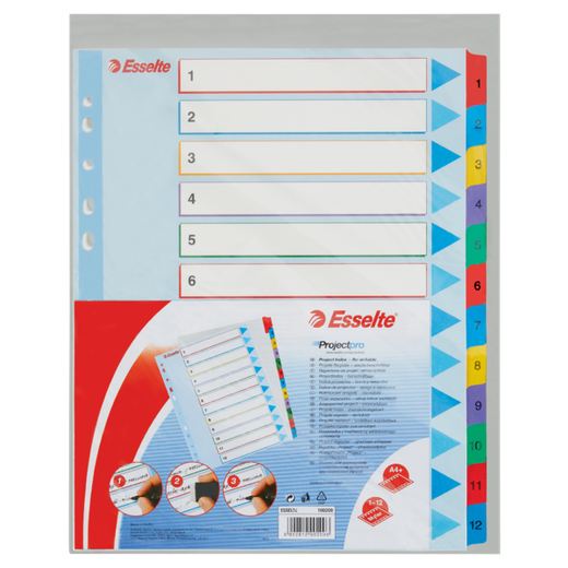 Índice de proyectos multitaladro. DIN A4. Borra y Re-Escribe. Pestañas 1-12, multicolor