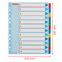 Índice de proyectos multitaladro. DIN A4. Borra y Re-Escribe. Pestañas 1-12, multicolor