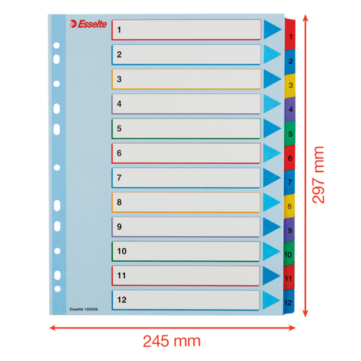 Índice de proyectos multitaladro. DIN A4. Borra y Re-Escribe. Pestañas 1-12, multicolor