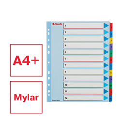 Índice de proyectos multitaladro. DIN A4. Borra y Re-Escribe. Pestañas 1-12, multicolor