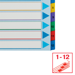 Índice de proyectos multitaladro. DIN A4. Borra y Re-Escribe. Pestañas 1-12, multicolor