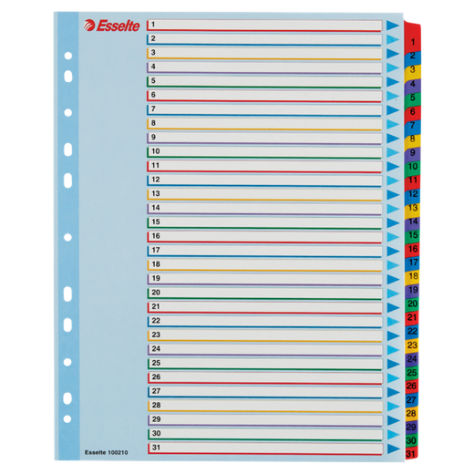 Índice de proyectos multitaladro. DIN A4. Borra y Re-Escribe. Pestañas 1-31, multicolor