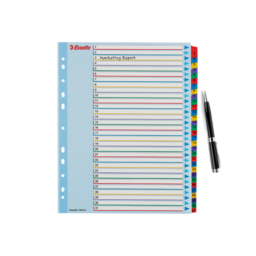 Índice de proyectos multitaladro. DIN A4. Borra y Re-Escribe. Pestañas 1-31, multicolor
