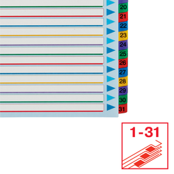 Índice de proyectos multitaladro. DIN A4. Borra y Re-Escribe. Pestañas 1-31, multicolor