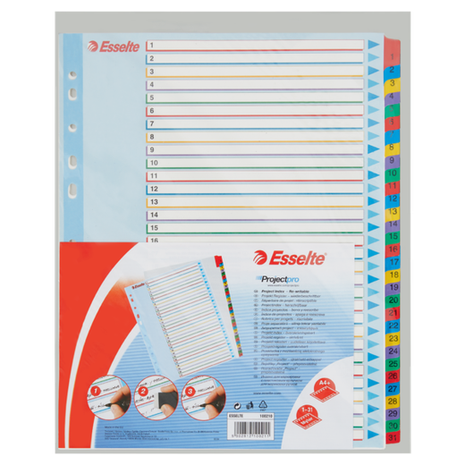 Índice de proyectos multitaladro. DIN A4. Borra y Re-Escribe. Pestañas 1-31, multicolor
