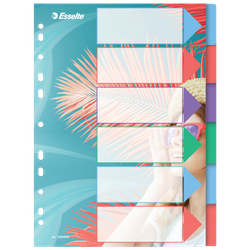 Índice multitaladro Esselte Colour'Breeze. PP. A4. 6 pestañas, multicolor