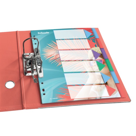 Índice multitaladro Esselte Colour'Breeze. PP. A4. 6 pestañas, multicolor