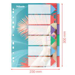 Índice multitaladro Esselte Colour'Breeze. PP. A4. 6 pestañas, multicolor