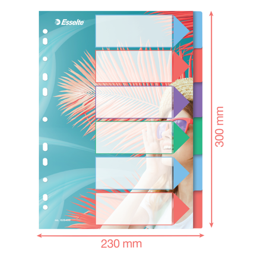 Índice multitaladro Esselte Colour'Breeze. PP. A4. 6 pestañas, multicolor