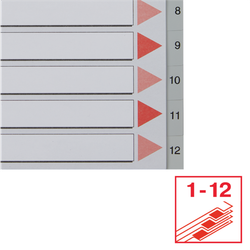 Índice multitaladro Esselte. DIN A4. Cartulina índice color. Pestañas 1-12 PP, gris