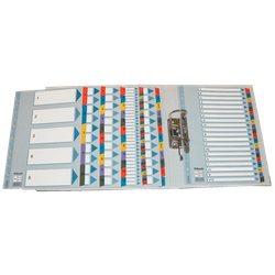 Índice multitaladro Esselte. DIN A4. Con cartulina índice color y pestañas reforzadas 1-31 Cartón Mylar, multicolor