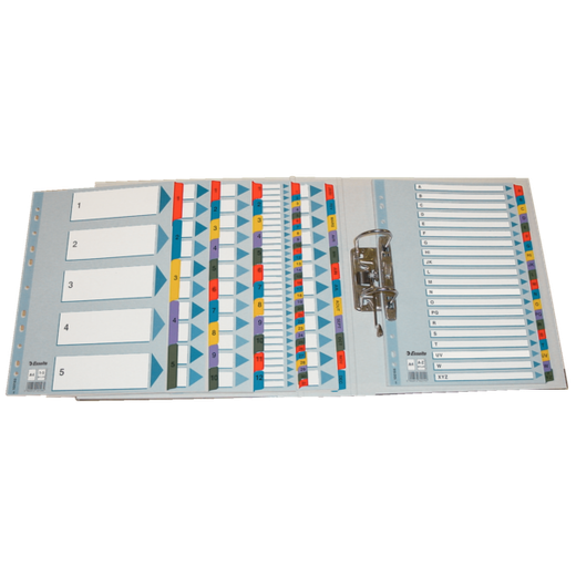 Índice multitaladro Esselte. DIN A4. Con cartulina índice color y pestañas reforzadas 1-31 Cartón Mylar, multicolor