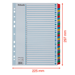 Índice multitaladro Esselte. DIN A4. Con cartulina índice color y pestañas reforzadas 1-31 Cartón Mylar, multicolor