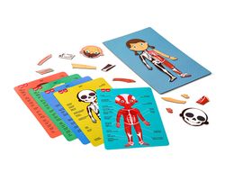 Juego apli didactico magnetico el cuerpo humano