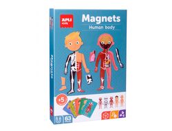 Juego apli didactico magnetico el cuerpo humano