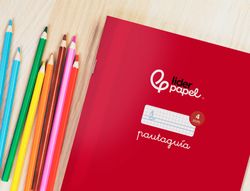Libreta liderpapel pautaguia tapa cartoncillo 32h A4 75gr cuadriculado pautado 4mm con margen 6 colores surtidos