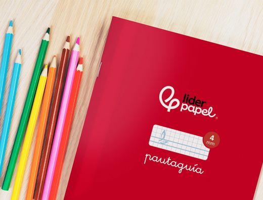 Libreta liderpapel pautaguia tapa cartoncillo 32h A5+ 75gr cuadriculado pautado 4mm con margen 6 colores surtidos