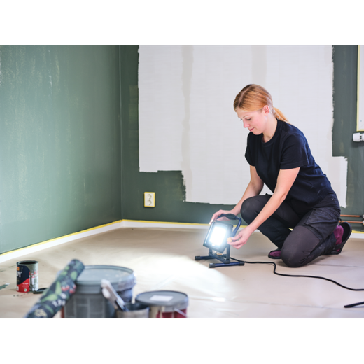 Luz de trabajo The Painter+