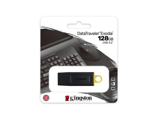 Memoria kingston pendrive exodia 128gb
