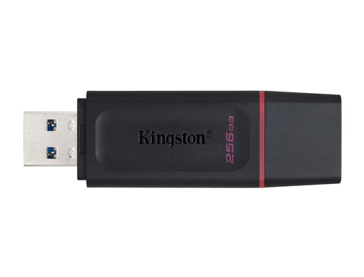 Memoria kingston pendrive exodia 256gb