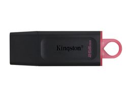 Memoria kingston pendrive exodia 256gb