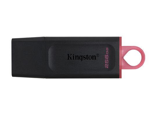 Memoria kingston pendrive exodia 256gb