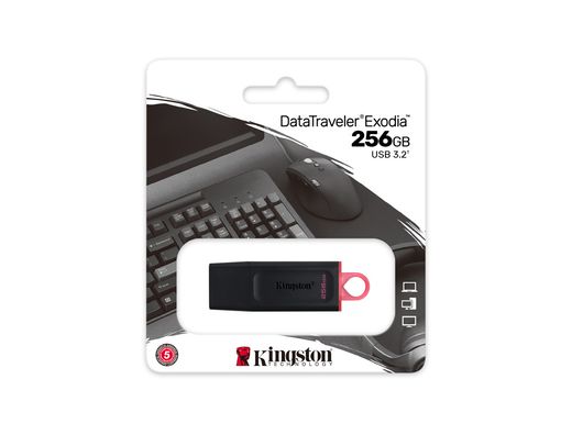 Memoria kingston pendrive exodia 256gb