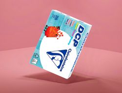 Papel Clairefontaine A4 de 125 hojas 350 gr