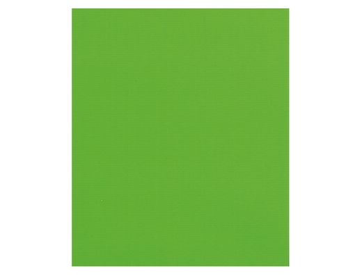 Papel Fantasia Kraft Liso Kfc -Bobina 31 cm -3,5 Kg -Color Pistacho