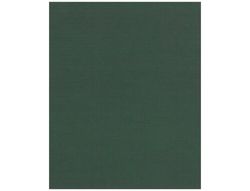 Papel Fantasia Kraft Liso Kfc -Bobina 62 cm -7 Kg -Color Verde