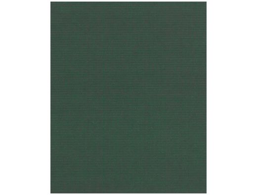Papel Fantasia Kraft Liso Kfc -Bobina 62 cm -7 Kg -Color Verde