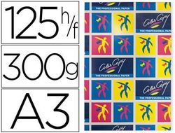 Papel Fotocopiadora Color Copy Mate Din A3+ 300 Gramos Paquete 125 Hojas