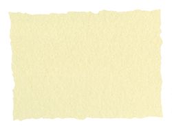 Papel Pergamino Din A4 Troquelado 125 Gr Piel Elefante Color Hueso Paquete de 25 Hojas